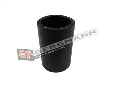 GT BERGMANN GT52-583