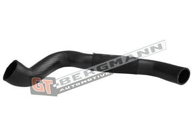 GT BERGMANN GT52-585 EAN: 5907764526287.
