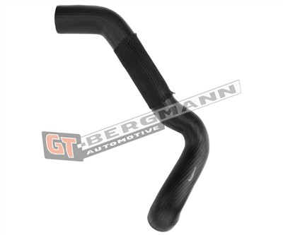 GT BERGMANN GT52-585 EAN: 5907764526287.