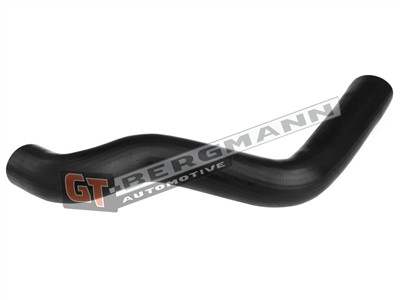 GT BERGMANN GT52-589 EAN: 5907764526324.