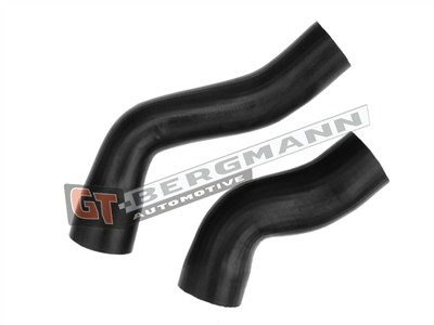 GT BERGMANN GT52-593 EAN: 5907764526362.