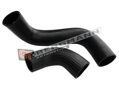 GT BERGMANN GT52-598 EAN: 5907764526416.