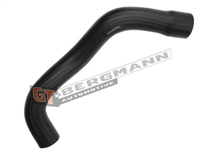 GT BERGMANN GT52-599 EAN: 5907764526423.