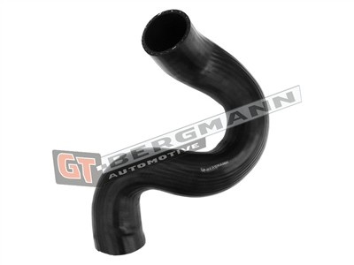 GT BERGMANN GT52-601 EAN: 5907764526447.