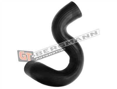 GT BERGMANN GT52-601 EAN: 5907764526447.