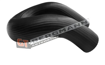 GT BERGMANN GT52-604 EAN: 5907764526478.