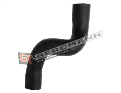 GT BERGMANN GT52-605 EAN: 5907764526485.