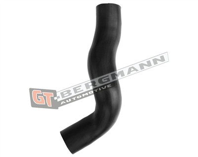 GT BERGMANN GT52-611 EAN: 5907764526546.
