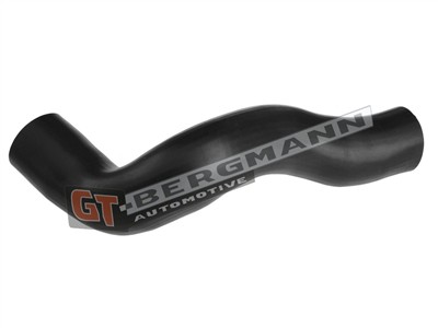 GT BERGMANN GT52-611 EAN: 5907764526546.