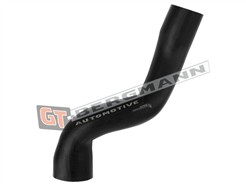 GT BERGMANN GT52-613