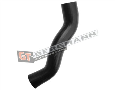 GT BERGMANN GT52-618 EAN: 5907764526614.