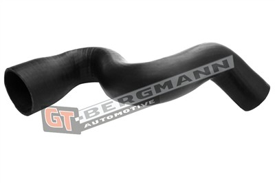 GT BERGMANN GT52-629 EAN: 5907764526720.