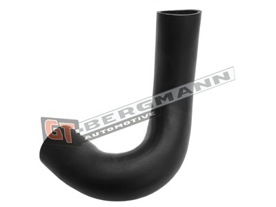 GT BERGMANN GT52-631 EAN: 5907764526744.
