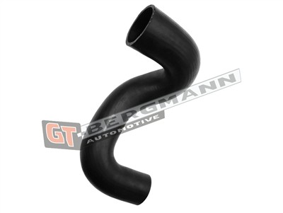 GT BERGMANN GT52-639 EAN: 5907764526829.