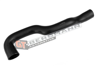 GT BERGMANN GT52-653