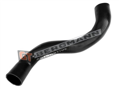 GT BERGMANN GT52-657