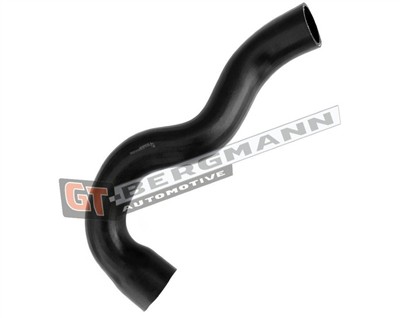 GT BERGMANN GT52-661