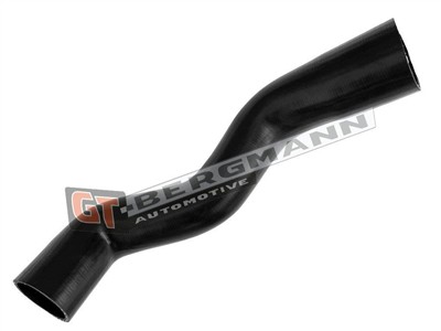 GT BERGMANN GT52-676