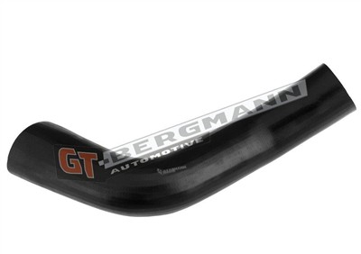 GT BERGMANN GT52-679