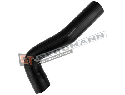 GT BERGMANN GT52-681