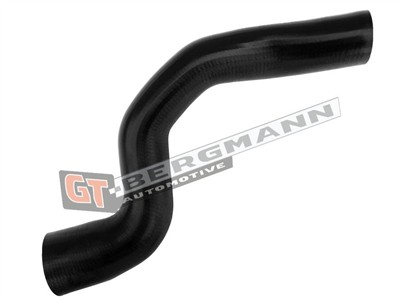 GT BERGMANN GT52-683 EAN: 5907764528328.