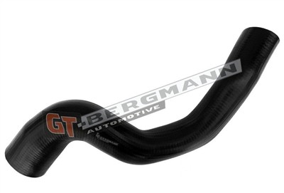 GT BERGMANN GT52-683 EAN: 5907764528328.