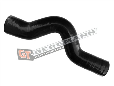 GT BERGMANN GT52-687