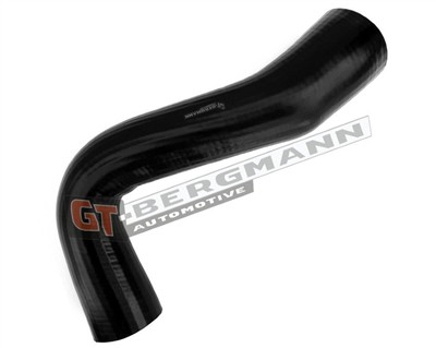 GT BERGMANN GT52-696