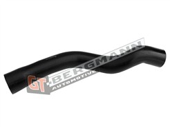 GT BERGMANN GT52-701