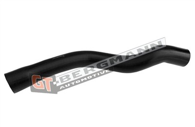 GT BERGMANN GT52-701