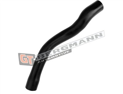 GT BERGMANN GT52-701