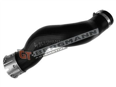 GT BERGMANN GT52-715