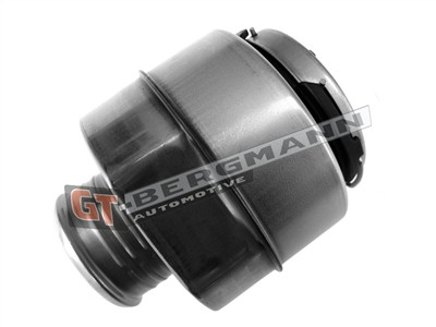 GT BERGMANN GT52-718