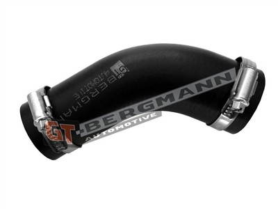 GT BERGMANN GT52-719