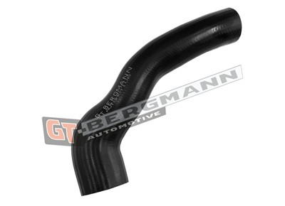 GT BERGMANN GT52-782