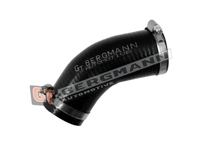 GT BERGMANN GT52-786