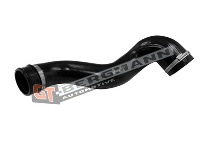 GT BERGMANN GT52-794 EAN: 5907764531267.