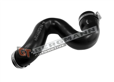 GT BERGMANN GT52-799