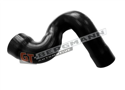 GT BERGMANN GT52-801 EAN: 5907764531335.