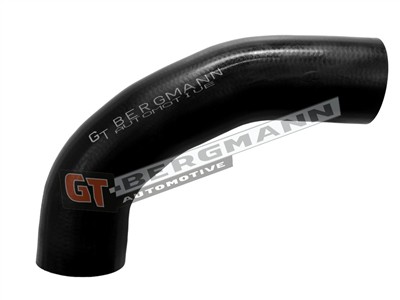 GT BERGMANN GT52-805