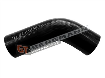 GT BERGMANN GT52-806