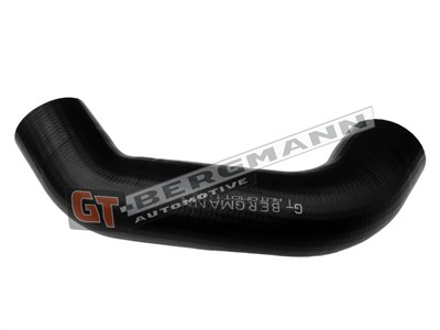GT BERGMANN GT52-833