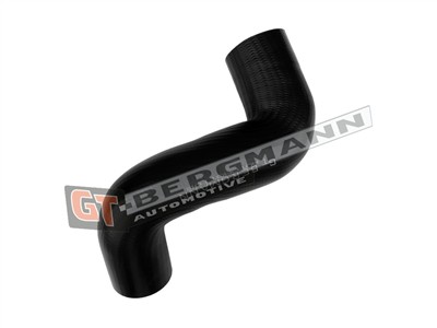 GT BERGMANN GT52-834