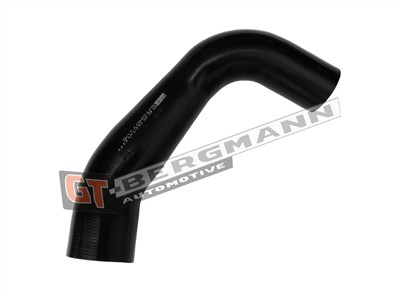 GT BERGMANN GT52-835