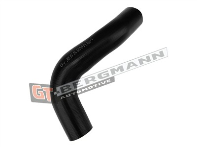 GT BERGMANN GT52-839