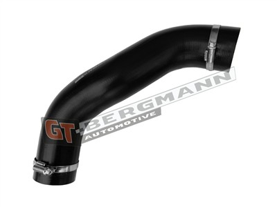 GT BERGMANN GT52-842