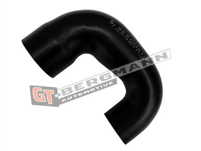 GT BERGMANN GT52-879