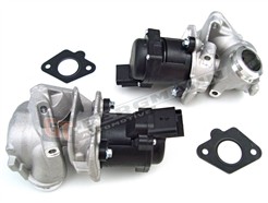 GT BERGMANN GT55-004