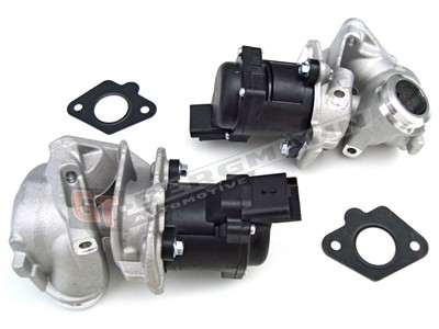 GT BERGMANN GT55-004 EAN: 5907764508184.