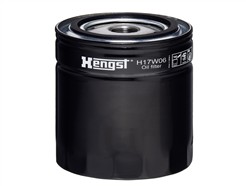 HENGST FILTER H17W06